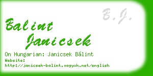 balint janicsek business card